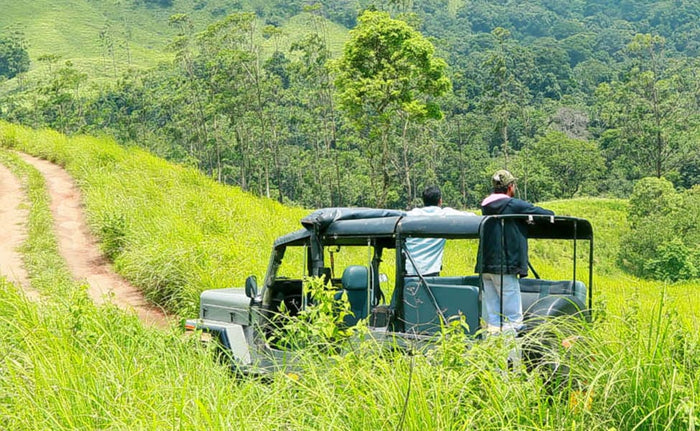 Thrilling Angamoozhy Jungle Jeep Safari in Kumily
