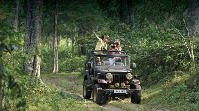 Thrilling Angamoozhy Jungle Jeep Safari in Kumily