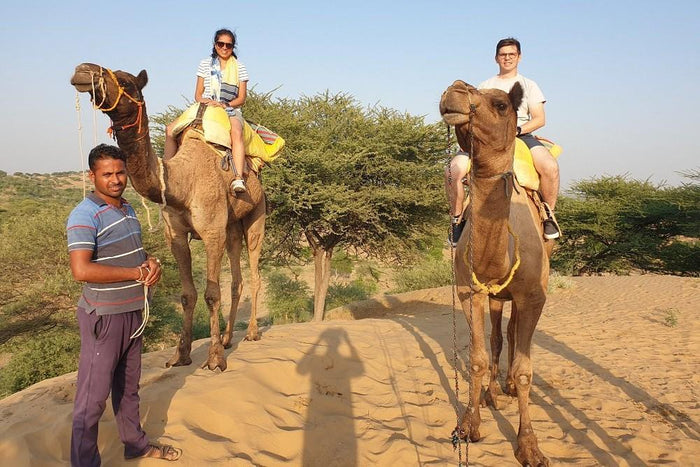 Osian Half-day Tour from Jodhpur with Camel Safari & Dinner
