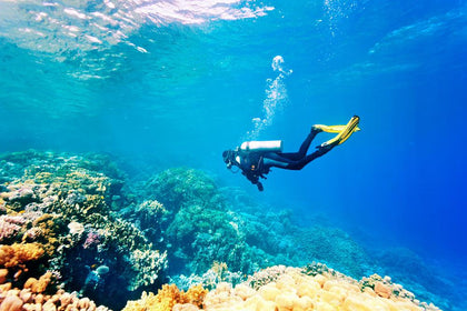 Premium Scuba Diving In Kochi