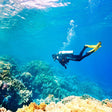 Scuba Diving in Kochi