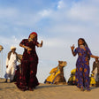Camel Safari with Dance & Music Tickets