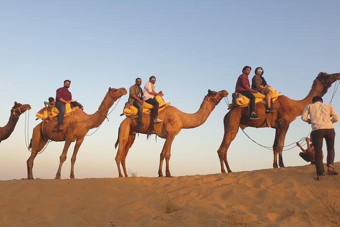 Osian Half-day Tour from Jodhpur with Camel Safari & Dinner