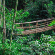 High Rope Adventure Activities in Coorg