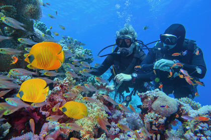 Signature Scuba Diving In Havelock Island