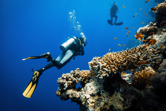 Scuba Diving in Pondicherry with Free Videography