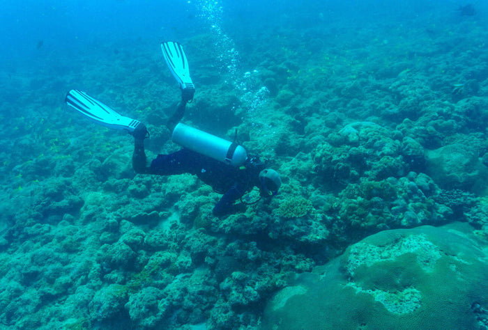 Scuba Diving in Havelock Island