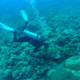 Scuba Diving in Havelock Island