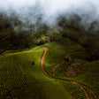 Sunrise Trek at Munnar for One