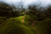Sunrise Trek at Munnar for One