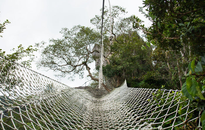 High Rope Adventure Activities in Coorg