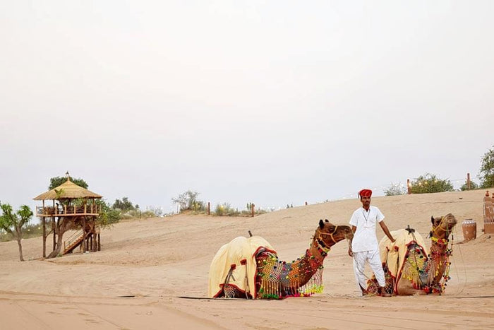 Osian Half-day Tour from Jodhpur with Camel Safari & Dinner