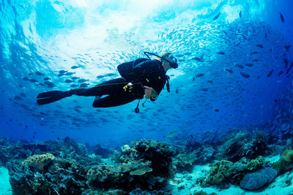 Signature Scuba Diving In Gokarna