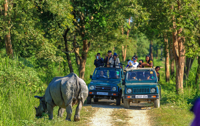Thrilling Angamoozhy Jungle Jeep Safari in Kumily