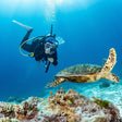 Scuba Diving in Havelock Island