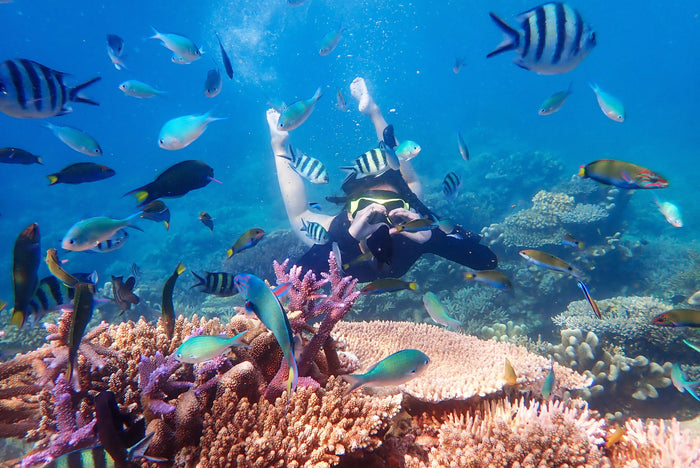 Scuba Diving in Andaman
