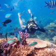 Scuba Diving in Andaman