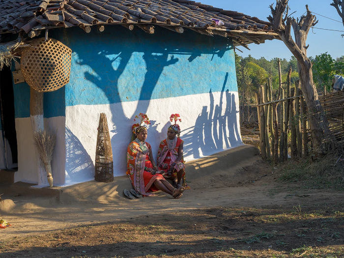 Immersive Baiga Village Cultural Visit in Kanha