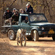 Evening Leopard Safari Experience in Jawai Leopard Conservation Area for One