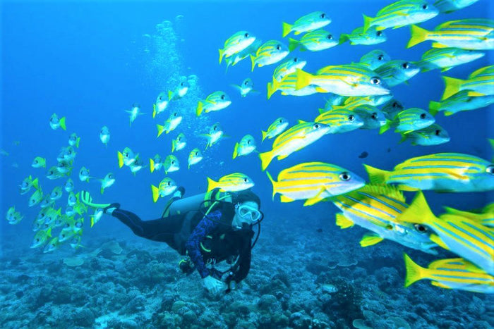 Shore Scuba Diving at Neil Island, Andaman