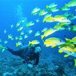 Shore Scuba Diving at Neil Island, Andaman
