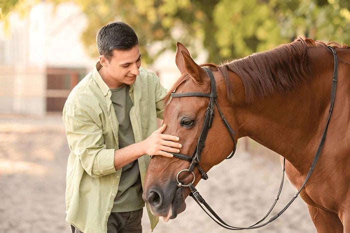 Photoshoot with Horse in Faridabad