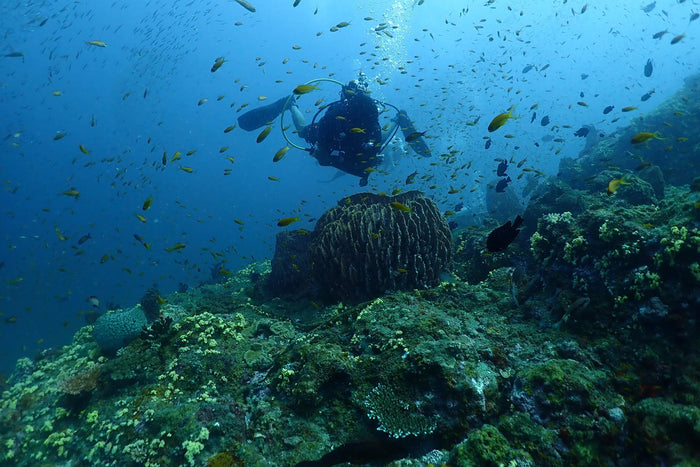 Netrani Island Scuba Diving