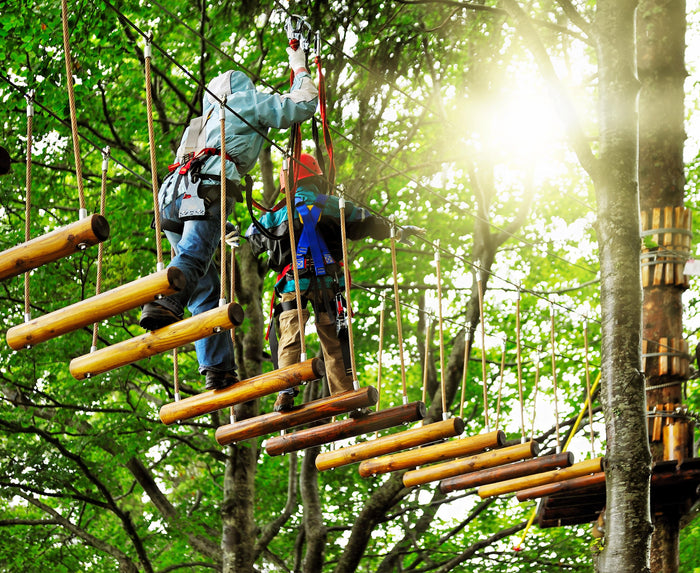 Adventure Rope Course in Munnar
