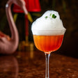 Swan