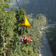 Flying Fox Rishikesh