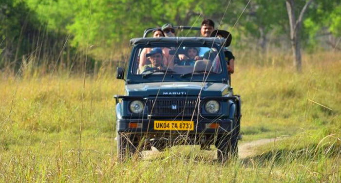 Thrilling Phato Zone Jeep Safari in Jim Corbett National Park