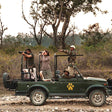 Evening Leopard Safari Experience in Jawai Leopard Conservation Area for One