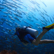 Thrilling Introductory Scuba Diving Experience in Kovalam