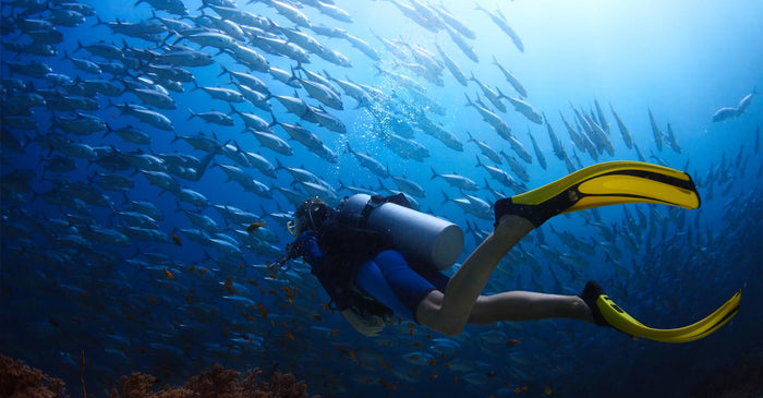 Thrilling Introductory Scuba Diving Experience in Kovalam
