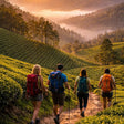 Sunrise Trek at Munnar for One