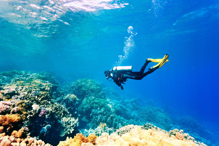 Netrani Island Scuba Diving
