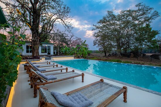 Scenic Hi-Tea Experience for One at The Riverwood Forest Retreat Watch Tower Kanha