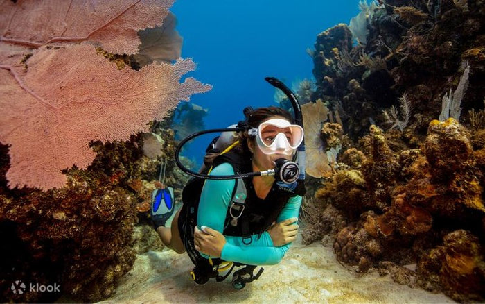 Thrilling PADI Scuba Diver Certification Course in Kovalam
