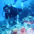 Scuba Diving in Gujarat
