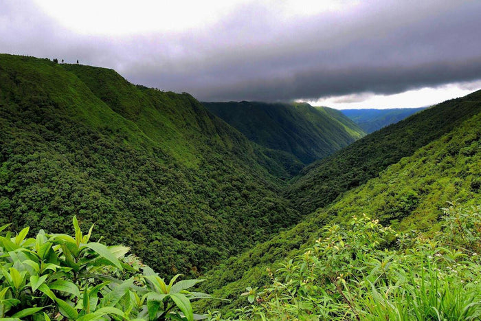 Zipline in Mawkdok, Meghalaya