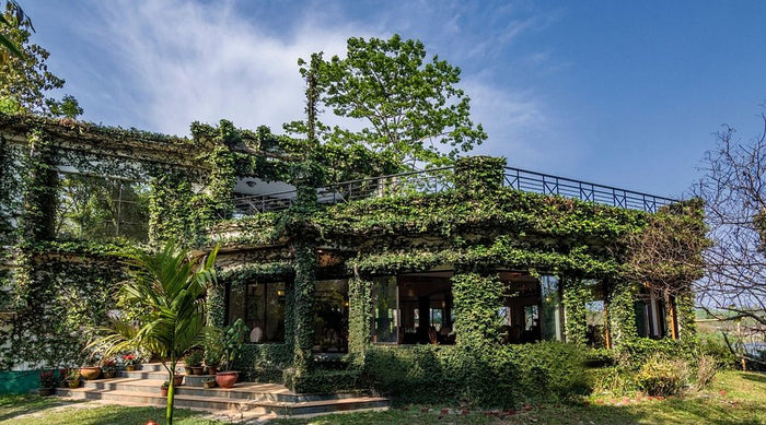 Romantic Four-Course Candlelight Dinner for Two at The Riverwood Forest Retreat - Pench