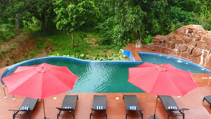 Private Rooftop Chef's Choice Dining Experience for Two at The Riverwood Forest Retreat - Pench