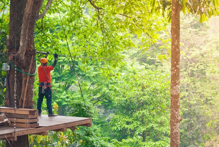 Adventure Rope Course in Munnar