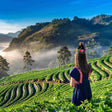 Local Tea Trail and Tea Factory Visit in Munnar