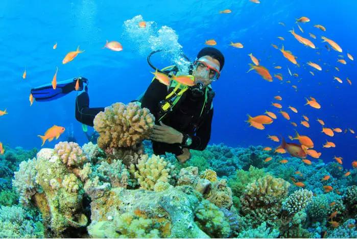 Scuba Diving Experience in Pondicherry