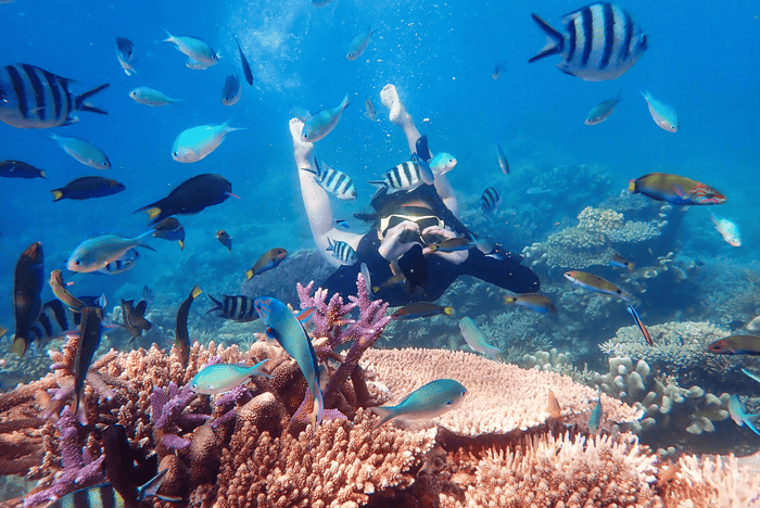 Jet Ski and Snorkeling Combo, Havelock