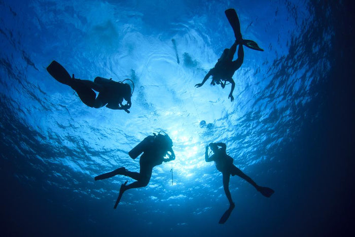 Scuba Diving in Pondicherry with Free Videography