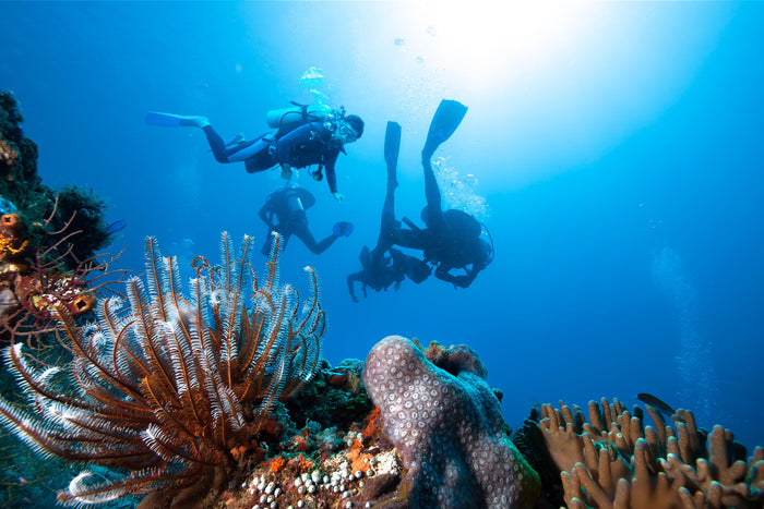 Premium Scuba Diving Package, Goa | Use THRILLO200 for Flat 200 Off