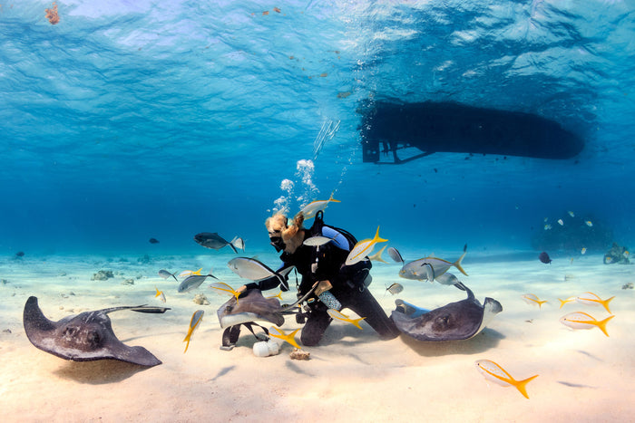 Shore Scuba Diving at Neil Island, Andaman