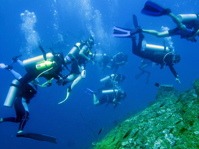 Scuba Diving in Chennai